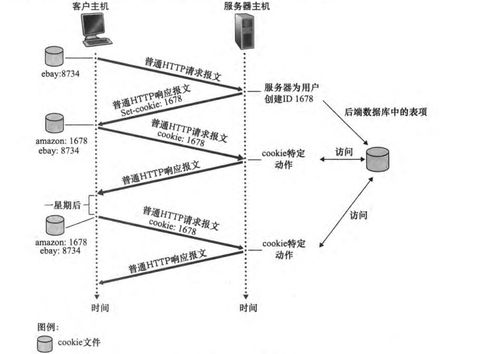计算机网络之应用层